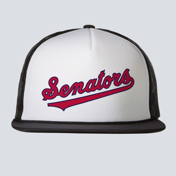 1969 Washington Senators Hat by Vintage Brand