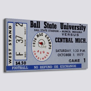 RARE Vintage Ball State University Cardinals or Louisville Cardinal, NCAA  College fabric. Sold by the Remnant. New