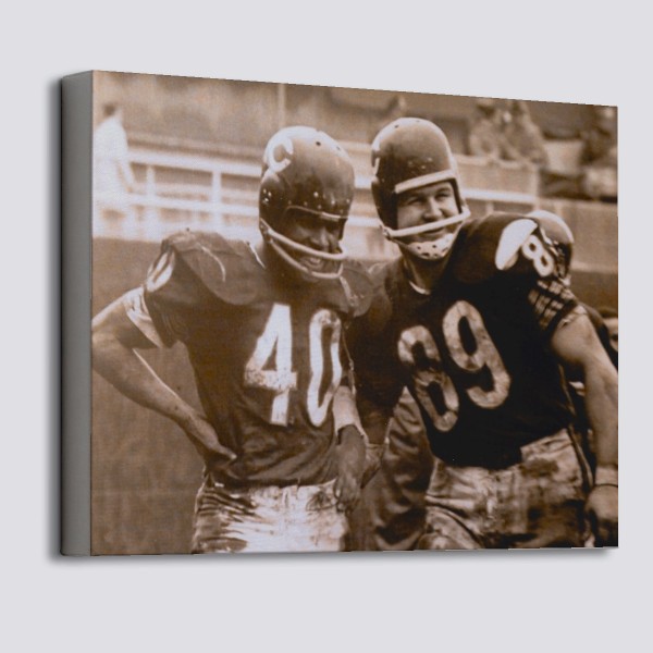 Gale Sayers, the Kansas Comet, Chicago Bears Mixed Media by Thomas Pollart  - Pixels