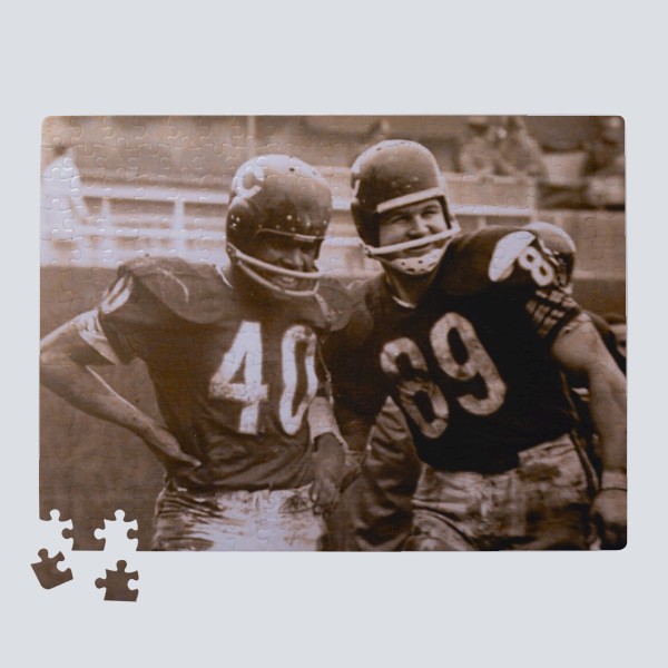 1965 Sayers and Ditka Artwork: Puzzle