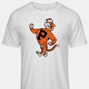 Princeton Tigers Sweatshirt/ Custom School Shirts