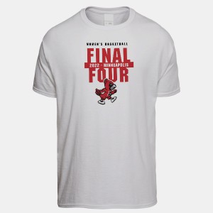 Louisville Cardinals Men's Dri-Power T-Shirt by Vintage Brand