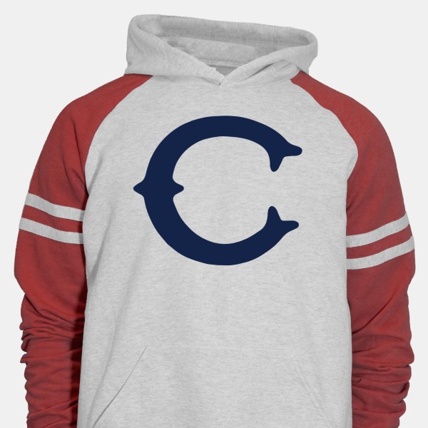Vintage Wrigley Field Chicago Cubs Hoodie Sweatshirt Size 