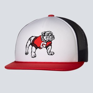 1982 Georgia Bulldogs Artwork: Hat